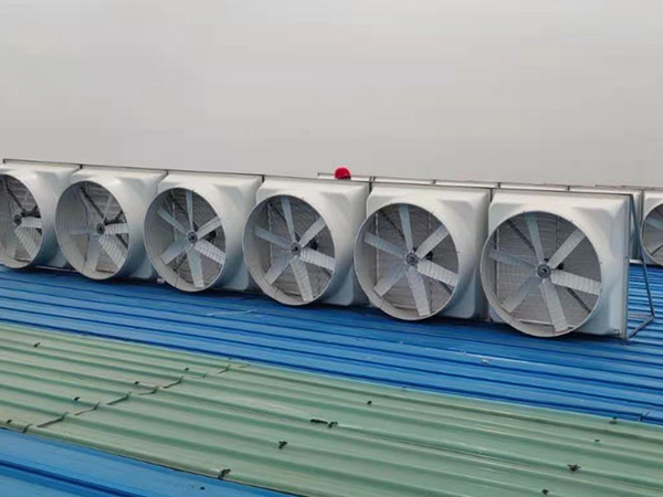 金泰包裝負(fù)壓風(fēng)機安裝實例